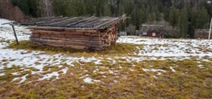 Holzhaus-Pflege – Wie Sie ein Holzhaus richtig pflegen und langfristig vor Witterung schützen