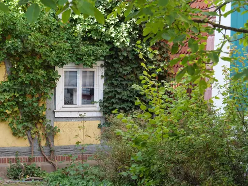 Pflege der Außenanlage – Wie lassen sich Außenanlagen rund ums Haus regelmäßig pflegen und dauerhaft in gutem Zustand halten?