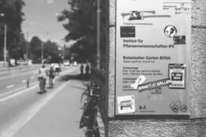 Wie funktioniert ein Durchlauferhitzer? Durchlauferhitzer einfach erklärt – Aufbau, Funktionsweise und Energieverbrauch