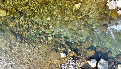 Wie lange kann Wasser im Planschbecken bleiben? Wann das Wasser gewechselt werden sollte und wie es länger sauber bleibt